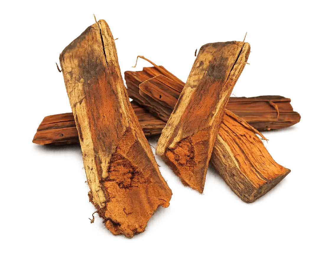 Anaxagorea luzonensis root extract — Annonaceae tonic tree