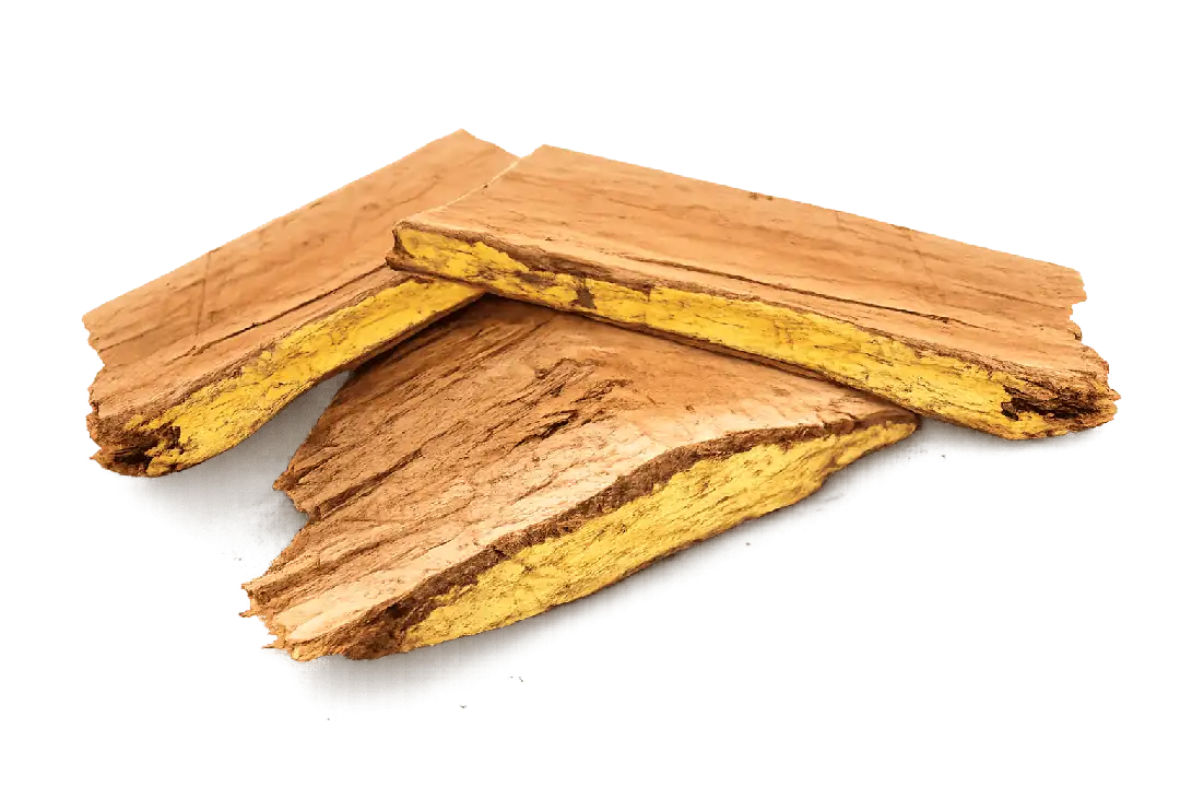 Betula alnoides bark extract — Indian Birch