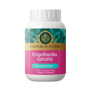 100% Engelhardia spicata Bl. (Linphop) Powder Extract (Premium Grade) 60 g EMPEROR HERBS®