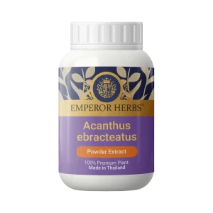 Acanthus Ebracteatus Vahl Powder Extract 60g. EMPEROR HERBS®