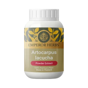 Artocarpus lacucha Powder Extract 60g. EMPEROR HERBS®