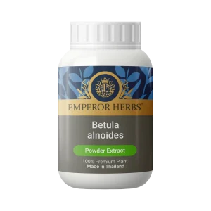 Betula alnoides (Birch) Powder Extract 60g. EMPEROR HERBS®