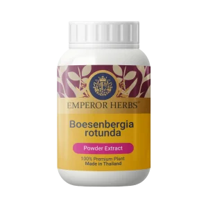 Boesenbergia rotunda (Fingerroot) Powder Extract 60g. EMPEROR HERBS®