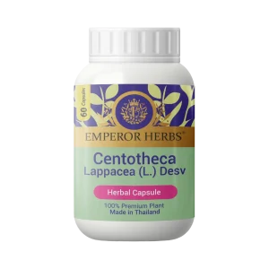 Centotheca lappacea Powder Herbal Capsules 60 EMPEROR HERBS®