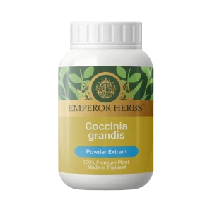 Coccinia Grandis (L.) Voigt (Ivy Gourd Tuber) Powder Extract 60g. EMPEROR HERBS®