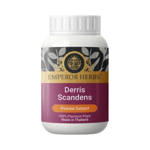 Derris scandens Tuber (Jewel vine) Powder Extract 60g. EMPEROR HERBS®