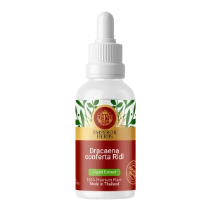 Dracaena conferta Ridl. Liquid Extract 30 ml. (High Concentration) EMPEROR HERBS®