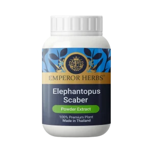 Elephantopus Scaber Linn Powder Extract 60g. EMPEROR HERBS®
