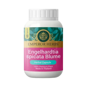 Engelhardia spicata Bl. (Linphop) Capsule 60 Capsules EMPEROR HERBS®