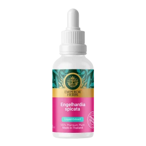 Engelhardia spicata Bl. (Linphop) Liquid Extract (High Concentration) 30 ml  EMPEROR HERBS®
