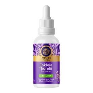 Enkleia thorelii (Lecomte) Nervling Herbal Extract in Liquid Type 30 ml. (High Concentration) EMPEROR HERBS®