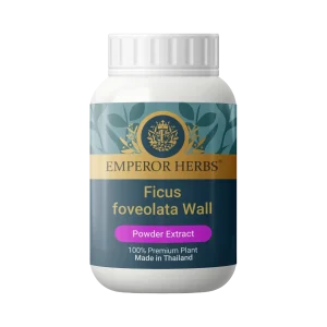 Ficus foveolata Wall Powder Extract 60g. EMPEROR HERBS®