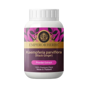 Kaempferia parviflora (Black Ginger) Powder Extract 60g. EMPEROR HERBS®
