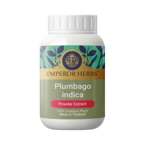 Plumbago indica Powder Extract 60g. EMPEROR HERBS®