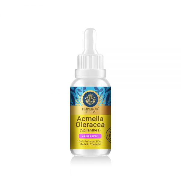 Acmella Oleracea Liquid Extract