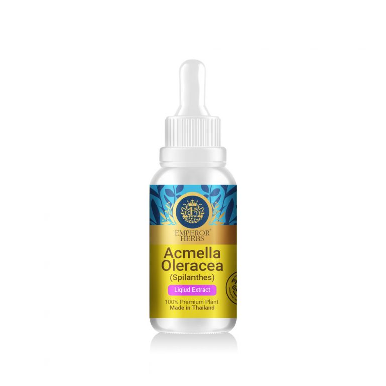 Acmella oleracea (Paracress): The ‘Toothache Plant’ Reinventing Botanical Skincare