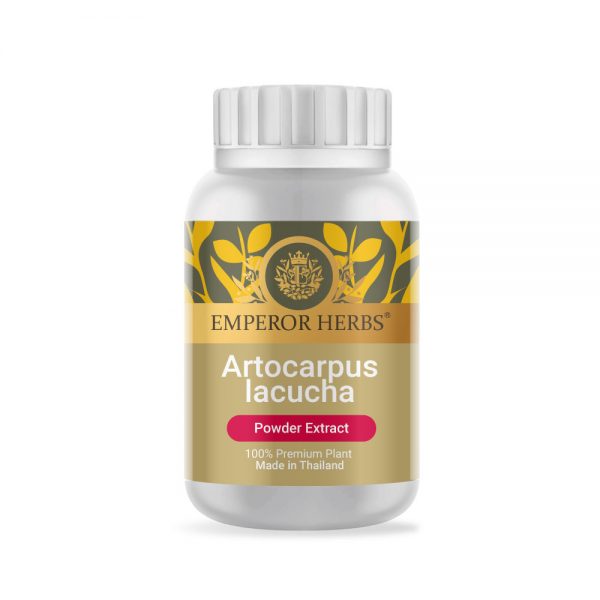 Artocarpus lacucha Powder Extract 60g. EMPEROR HERBS®