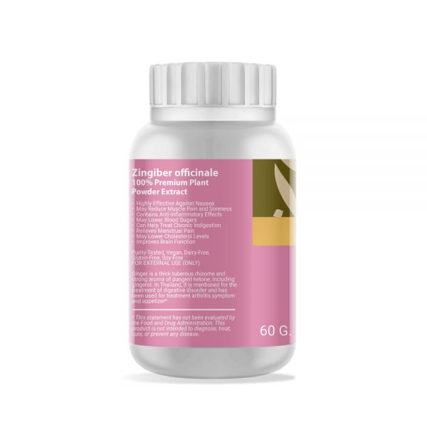 Zingiber officinale Powder Extract 2