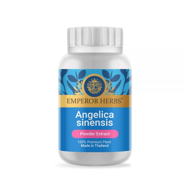 Angelica Sinensis (Dong quai Chinese Angelica) Powder Extract 60g. EMPEROR HERBS®