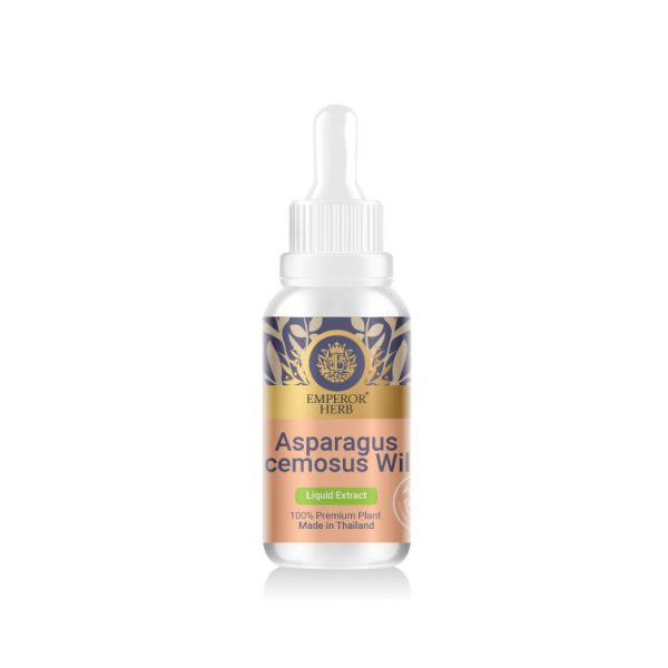 Asparagus Racemosus. Willd. (Shatavari) Liquid Extract 30 ml. (High Concentration) EMPEROR HERBS®