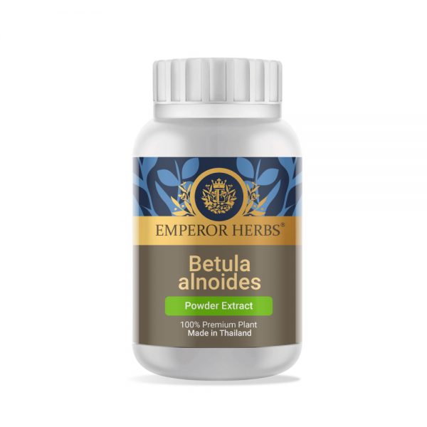 Betula alnoides (Birch) Powder Extract 60g. EMPEROR HERBS®