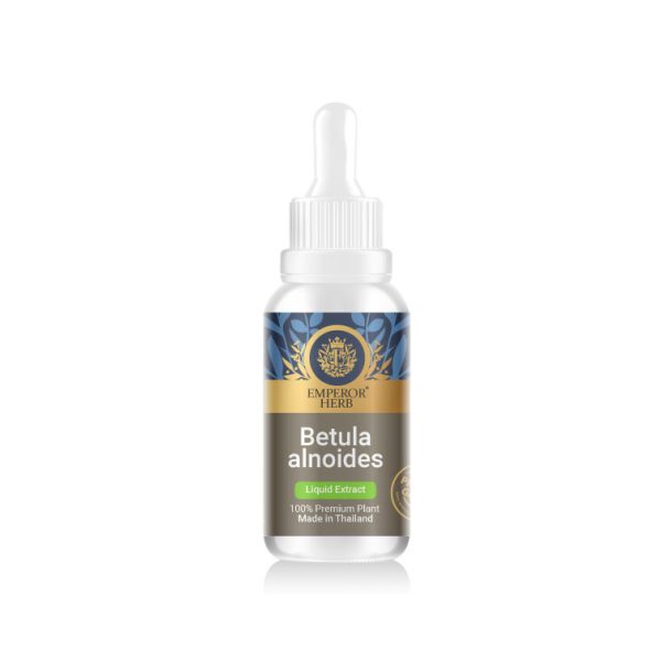 Betula alnoides (Birch) Liquid Extract 30 ml. (High Concentration) EMPEROR HERBS®