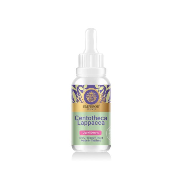 Centotheca Lappacea Liquid Extract 30 ml. (High Concentration) EMPEROR HERBS®