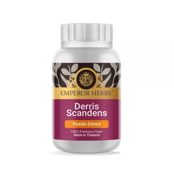 Derris scandens Tuber (Jewel vine) Powder Extract 60g. EMPEROR HERBS®
