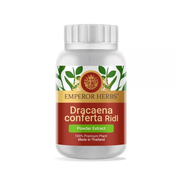 Dracaena Conferta Ridl. Powder Extract 60g. EMPEROR HERBS®