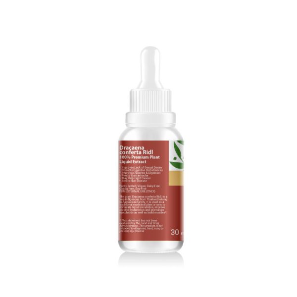 Dracaena conferta Ridl. Liquid Extract 30 ml. (High Concentration) EMPEROR HERBS®