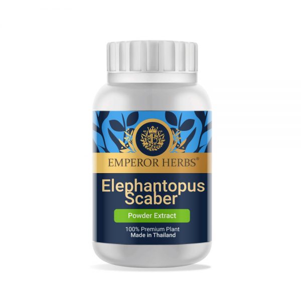 Elephantopus Scaber Linn Powder Extract 60g.