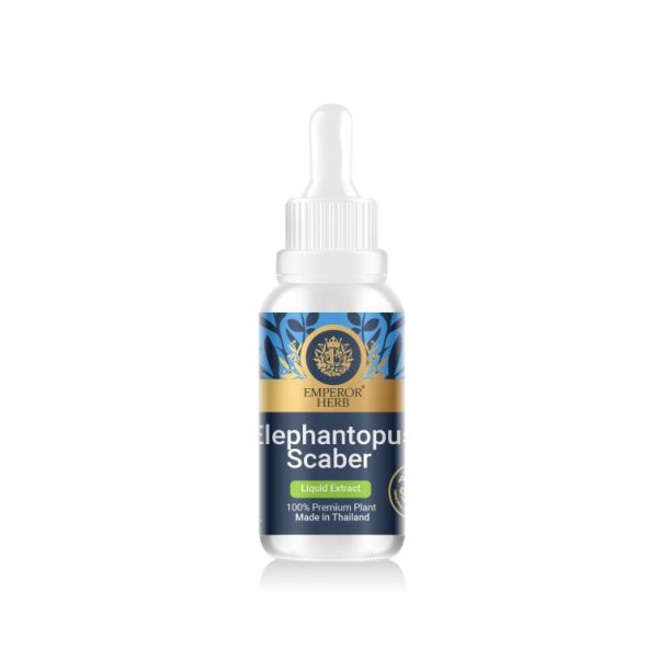 Elephantopus Scaber Linn Liquid Extract 30 ml. (High Concentration) EMPEROR HERBS®