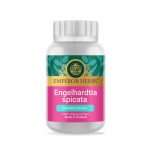 Engelhardtia Spicata Bl. (Linphop) Powder Extract 60g.