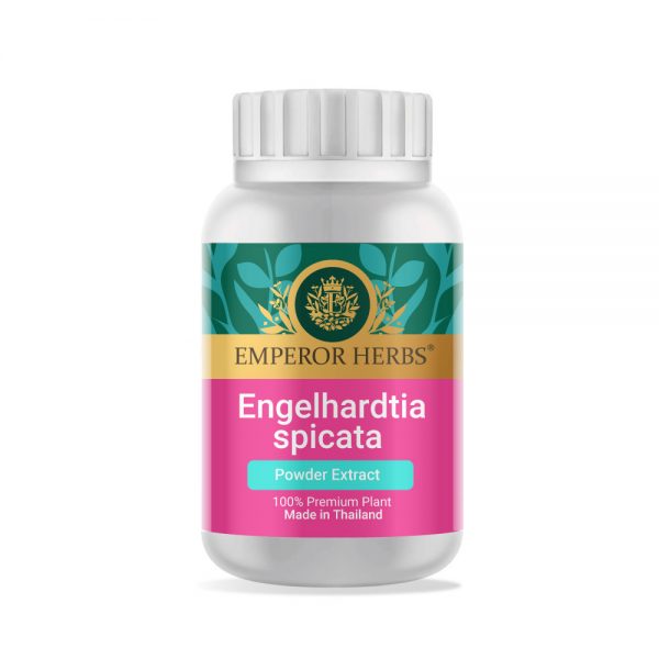 Engelhardtia Spicata Bl. (Linphop) Powder Extract 60g. EMPEROR HERBS®