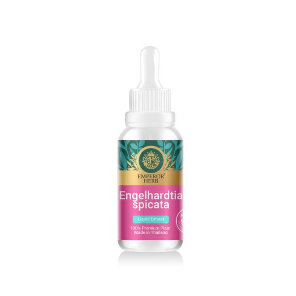Engelhardtia Spicata Bl. (Linphop) Liquid Extract 30 ml. (High Concentration) EMPEROR HERBS®