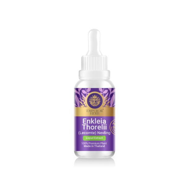 Enkleia thorelii (Lecomte) Nervling Herbal Extract in Liquid Type 30 ml. (High Concentration) EMPEROR HERBS®