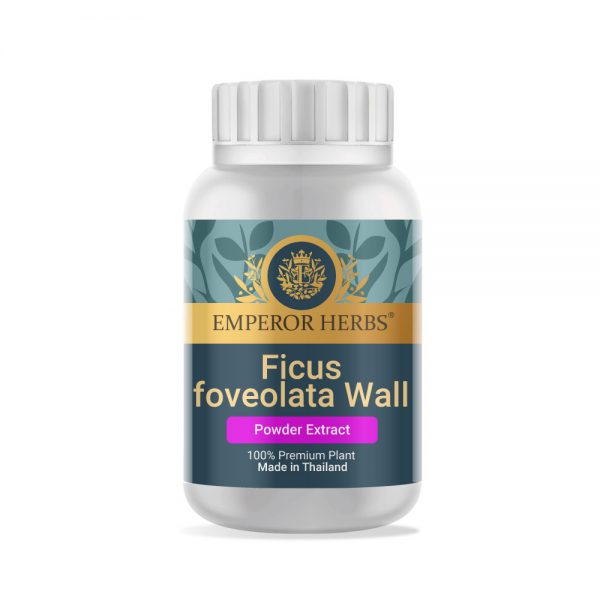 Ficus foveolata Wall Powder Extract 60g. EMPEROR HERBS®