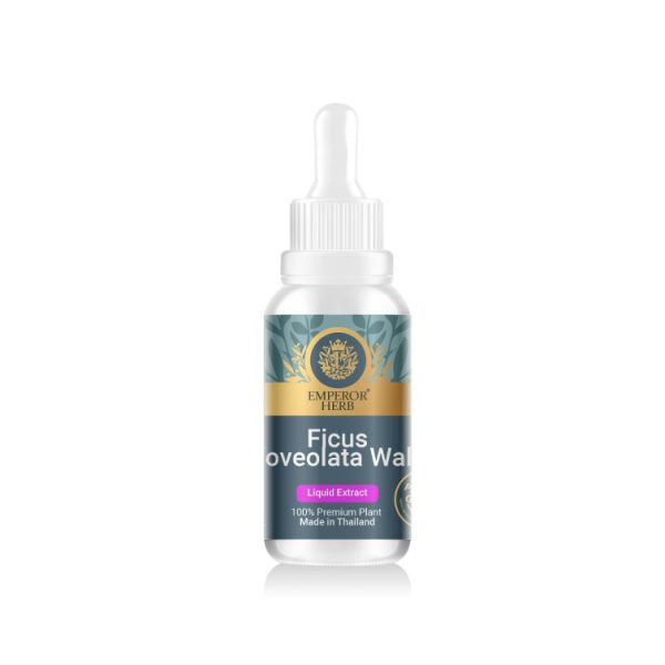 Ficus foveolata Wall Liquid Extract 30 ml. (High Concentration) EMPEROR HERBS®