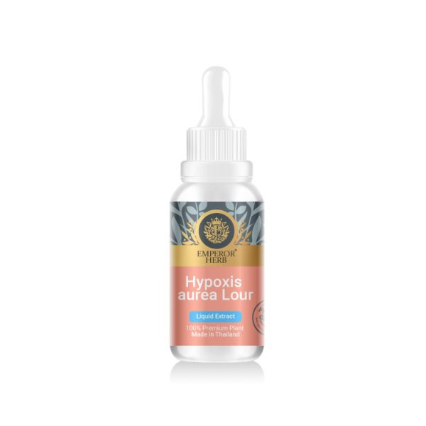 Hypoxis Aurea Lour (Star Grass) Liquid Extract 30 ml. (High Concentration) EMPEROR HERBS®