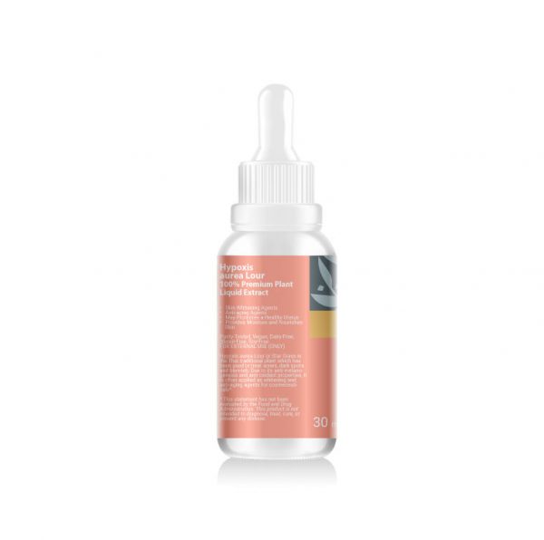 Hypoxis Aurea Lour (Star Grass) Liquid Extract 30 ml. 2