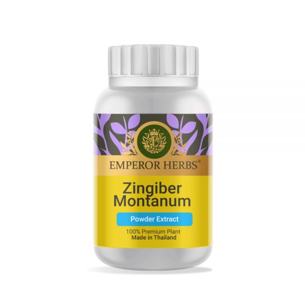 Zingiber Montanum Powder Extract